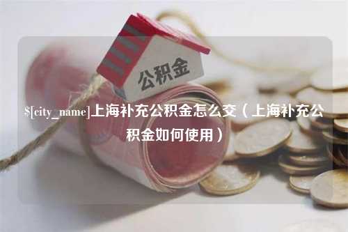 邵阳上海补充公积金怎么交（上海补充公积金如何使用）